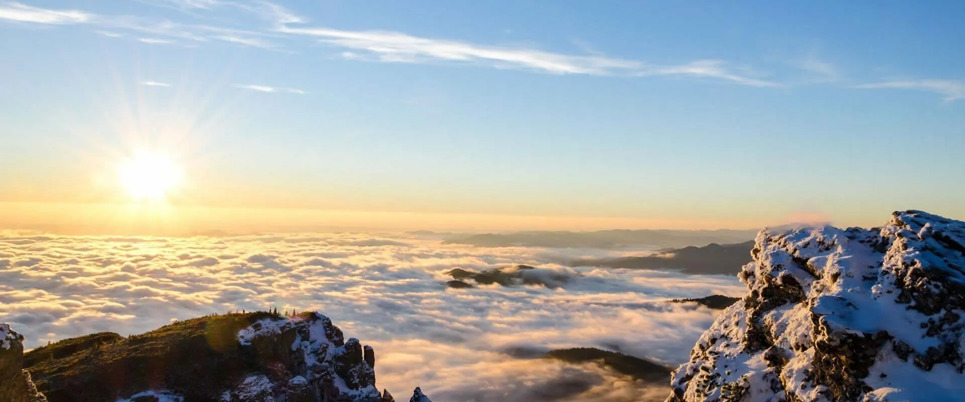 Reliable and professional partner for long-term success