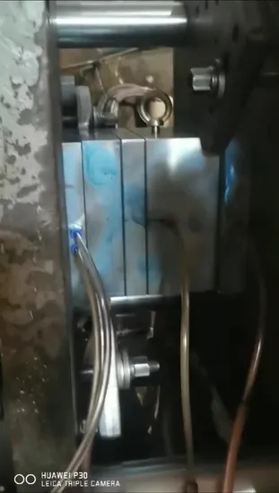 Multi Cavity Plastic Jar/Pet Preform Injection Mould From Caozhen